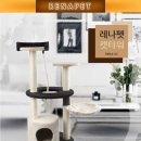 펫&캣 이미지