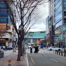 5533 | 해운대구 맛집 센텀프리미어호텔 예식 참석 후 센텀마마뷔페 식사 후기