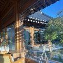 레이지스몰 | 경주 먹으러 다녀왔어요-부쉬, 선화, 도미, 커피플레이스, 에이오에프, 병과점아시,레이지스몰