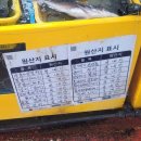 중앙시장(서) | 통영 중앙시장 털보활어 후기 도다리 숭어회 먹은 통영 회 맛집