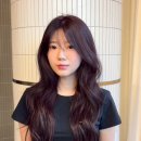 퍼플플럼 | 염색 추천✨ 분위기까지 달라지는 플럼브라운 후기
