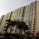 고양대로 255번길 이미지