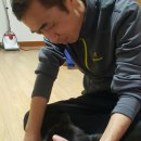 부산고양이미용&호텔 냥스타그램 이미지