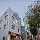 오늘의 마이핏 이미지