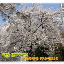 하계역 5번출구 버스정류장 이미지