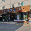 금빛한돈 이미지