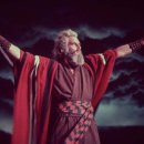 넘어지는 인간인지 이미지