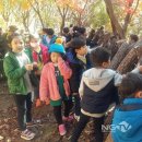 가학산자연휴양림 유아숲체험원 이미지