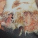 신천동물병원 이미지