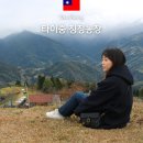 다혜농장 | 대만 타이중 근교여행 칭징농장 가는법 입장료 난터우커윈 버스 패키지 당일치기 공연시간