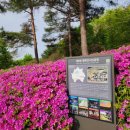 수리산산신제 이미지