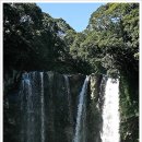 천지연폭포 이미지