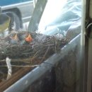 수락 농장 이미지