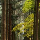 백양사(순천) 이미지