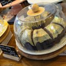 합덕읍 | 당진 합덕읍 카페, 벚꽃/청보리밭 명소로 유명하고 수제 케이크가 맛있는 곳 [카페피어라]