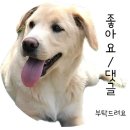 국립화천야영장 캠핑센터 이미지