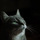 사랑이 머무는 미래 이미지