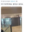 일본 지바 홍수 근황.jpg 이미지
