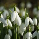 코스트코 상봉점 이미지