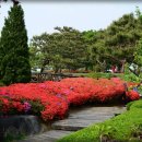 고삼목장 이미지