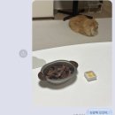 [선릉역] 30대 직장인의 건강검진 후기 - 강남 인터케어 내과 건강검진센터 👀💦