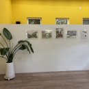 둔포면 충무로 이미지