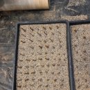 체리목장 이미지