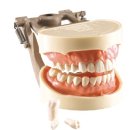 한일 soft 이미지