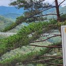 운일암반일암숲길 이미지