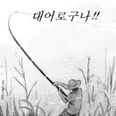 생선이야기 이미지