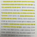수락 동물병원 | 밀란쿤데라 참을 수 없는 존재의 가벼움 후기, 인생을 가볍게 혹은 무겁게 살아가는 것 중 과연 무엇이...