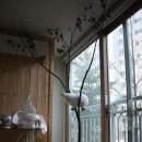 (주)레몬하우스 이미지