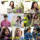 시현농장 이미지