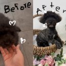 해피멍쓰데이 이미지