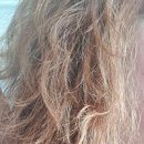 예향한방병원 이미지