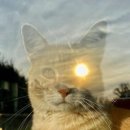 스튜디오 클라라 이미지