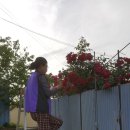 부인농원 이미지