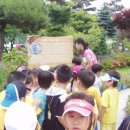 자비농장 이미지