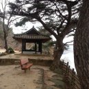 사벌초등학교 이미지