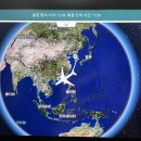 카페오일일구 | 영화가 좋아서 홍콩으로 나른 여자 1편