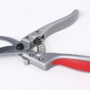 세화 정원 이미지