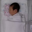 뉴이자르 산후조리원 태릉점 | [중랑구 산후조리원] 뉴이자르산후조리원태릉점 (노블) 후기