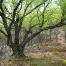 금천리경로당 이미지