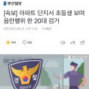 [속보] 아파트 단지서 초등생 보며 음란행위 한 20대 검거 이미지