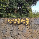 상예동-13 | 제주도 푸른밤