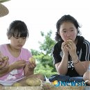 김상경 농장 이미지