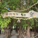 무지개놀이터 이미지