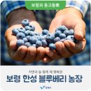 늘행복한농장 네이버블로그