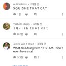 냥이 운반법 (feat. Squish that cat) 이미지