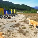 봉구하우스 이미지